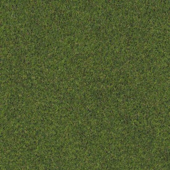 Prado dirbtinė žolė - ritinys 100x200cm paveikslėlis