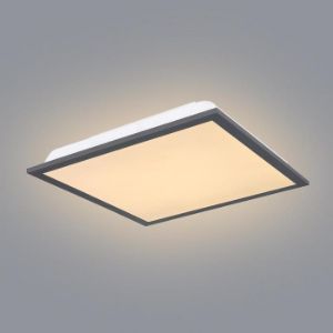 Paveikslėlis Plafond 416080D1 LED 12W 30X30 PL1