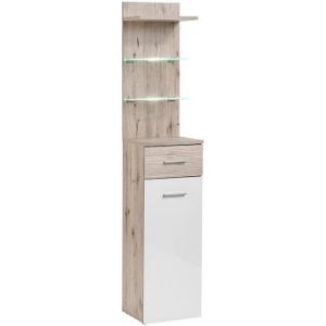 Gustawo TYPB+C spintelė Wellington ąžuolas/balta paveikslėlis