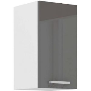 Virtuvės spintelė SONIA pilka blizgi 30G-60 F paveikslėlis